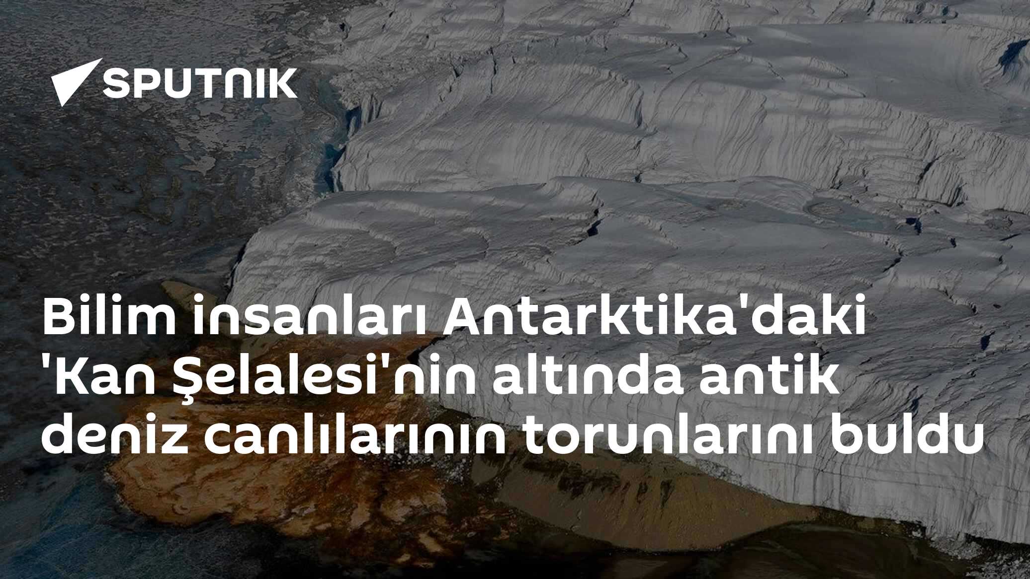 Antarktika'daki 'Kan Şelalesi'nin altında antik deniz canlılarının izlerine rastlandı