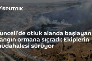 Tunceli'de otluk alanında çıkan yangın ormana ulaştı