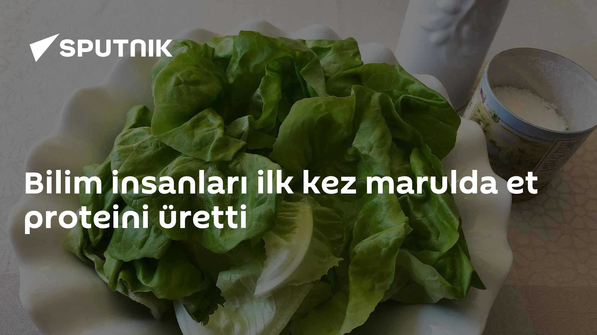 Bilim insanları ilk kez marulda et proteini üretti
