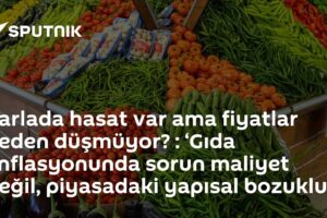 Tarlada hasat var ama fiyatlar neden düşmüyor? : ‘Gıda enflasyonunda sorun maliyet değil, piyasadaki yapısal bozukluk’