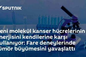 Yeni molekül kanser hücrelerinin enerjisini kendilerine karşı kullanıyor: Fare deneylerinde tümör büyümesini yavaşlattı