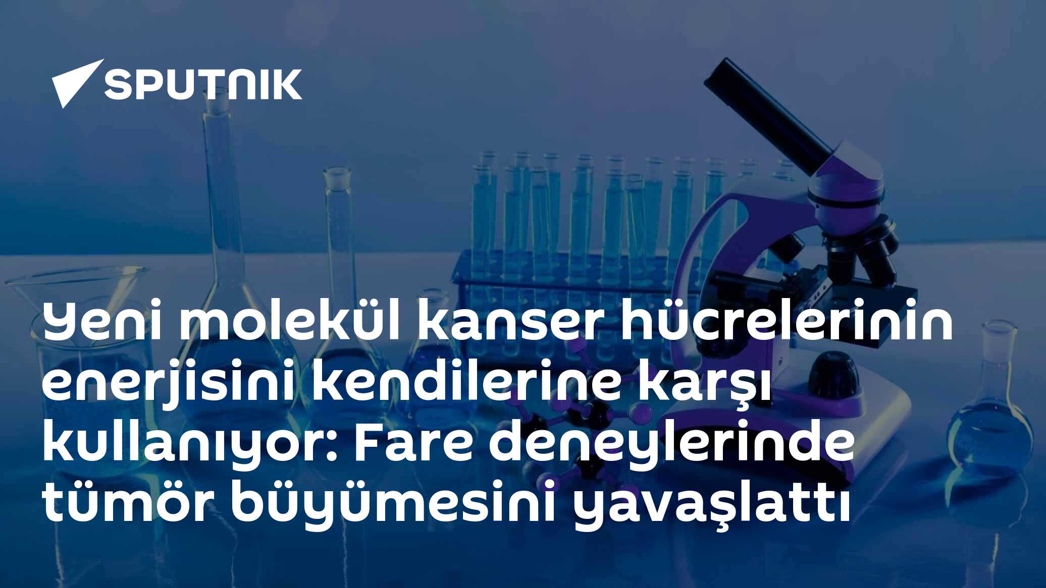 Yeni molekül kanser hücrelerinin enerjisini kendilerine karşı kullanıyor: Fare deneylerinde tümör büyümesini yavaşlattı