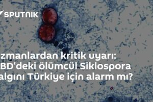 Uzmanlardan kritik uyarı: ABD'deki ölümcül Siklospora salgını Türkiye için alarm mı?