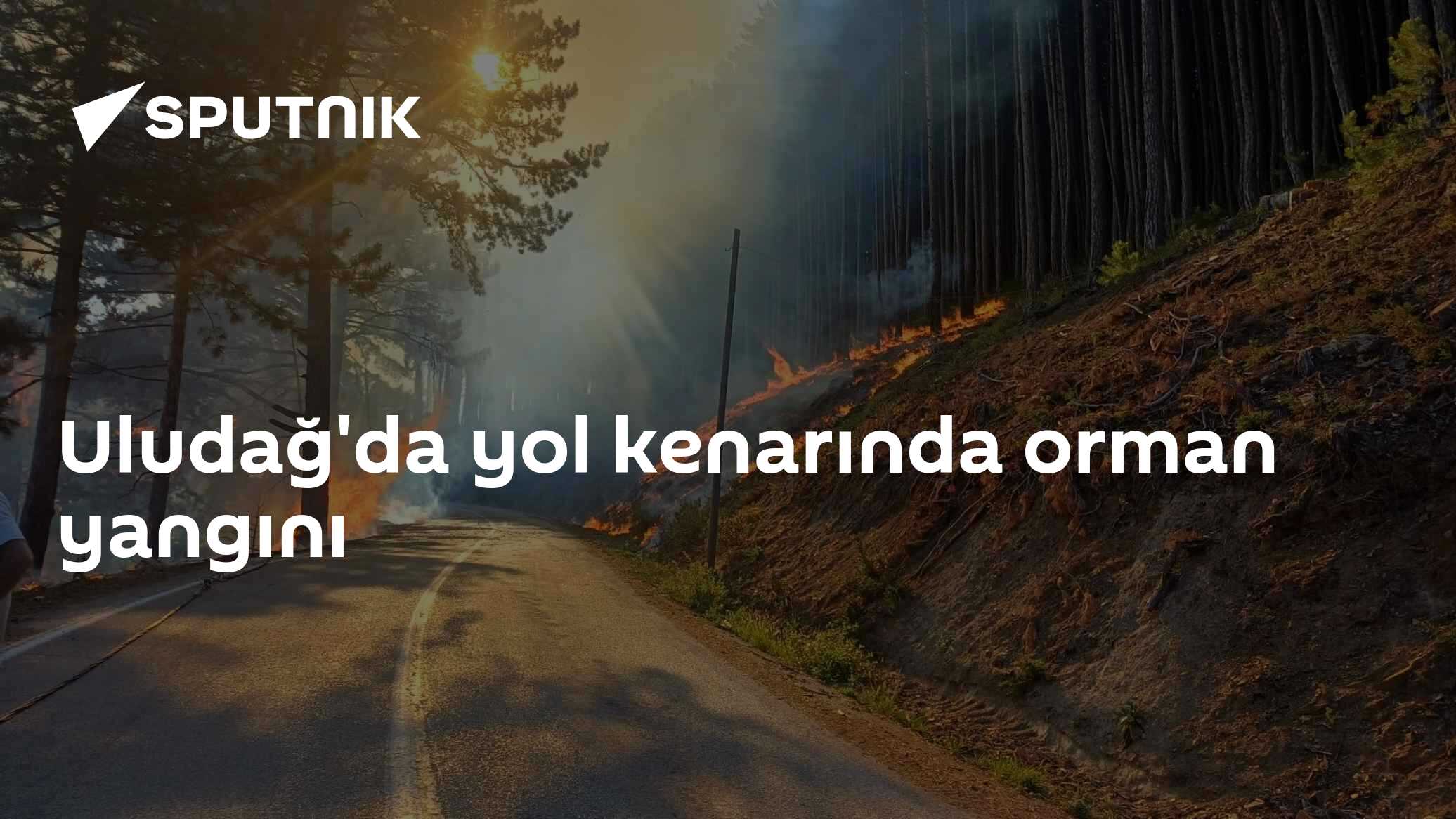 Uludağ'da yol kenarında orman yangını