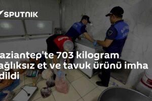 Gaziantep'te 703 kilogram sağlıksız et ve tavuk ürünü imha edildi