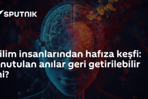 Bilim insanlarından hafıza keşfi: Unutulan anılar geri getirilebilir mi?