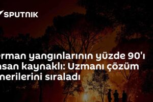 Orman yangınlarının yüzde 90'ı insan kaynaklı: Uzmanı çözüm önerilerini sıraladı