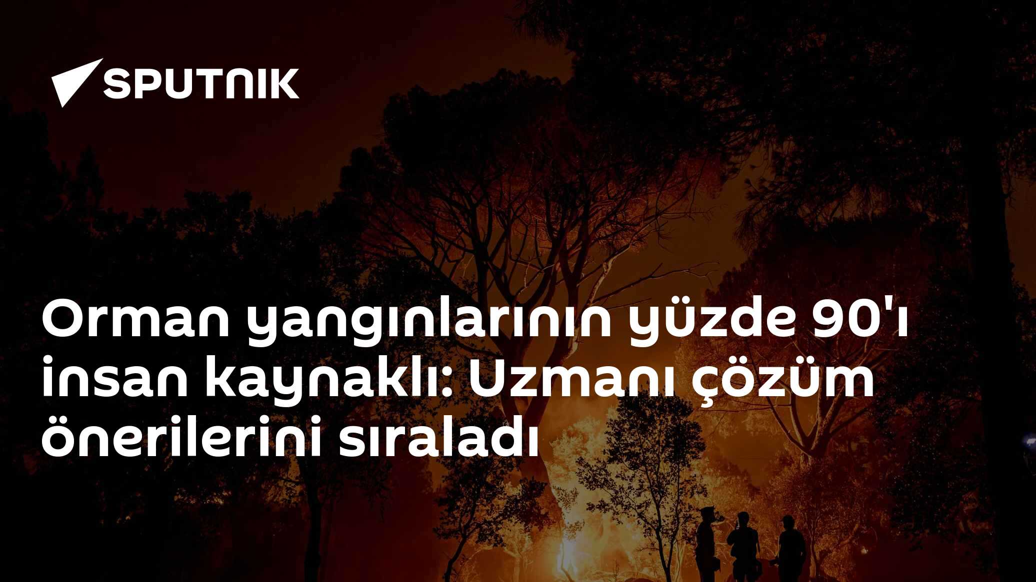 Orman yangınlarının yüzde 90'ı insan kaynaklı: Uzmanı çözüm önerilerini sıraladı