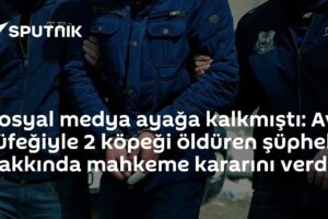 Sosyal medya ayağa kalkmıştı: Av tüfeğiyle 2 köpeği öldüren şüpheli hakkında mahkeme kararını verdi