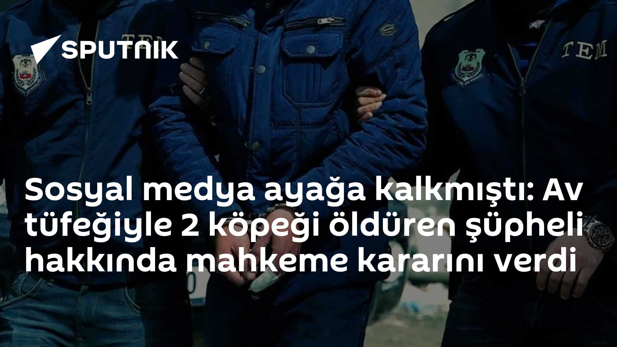 Sosyal medya ayağa kalkmıştı: Av tüfeğiyle 2 köpeği öldüren şüpheli hakkında mahkeme kararını verdi