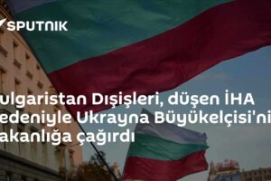 Bulgaristan Dışişleri, düşen İHA nedeniyle Ukrayna Büyükelçisi'ni bakanlığa çağırdı