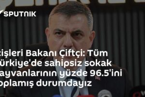 İçişleri Bakanı Çiftçi: Tüm Türkiye'de sahipsiz sokak hayvanlarının yüzde 96.5'ini toplamış durumdayız