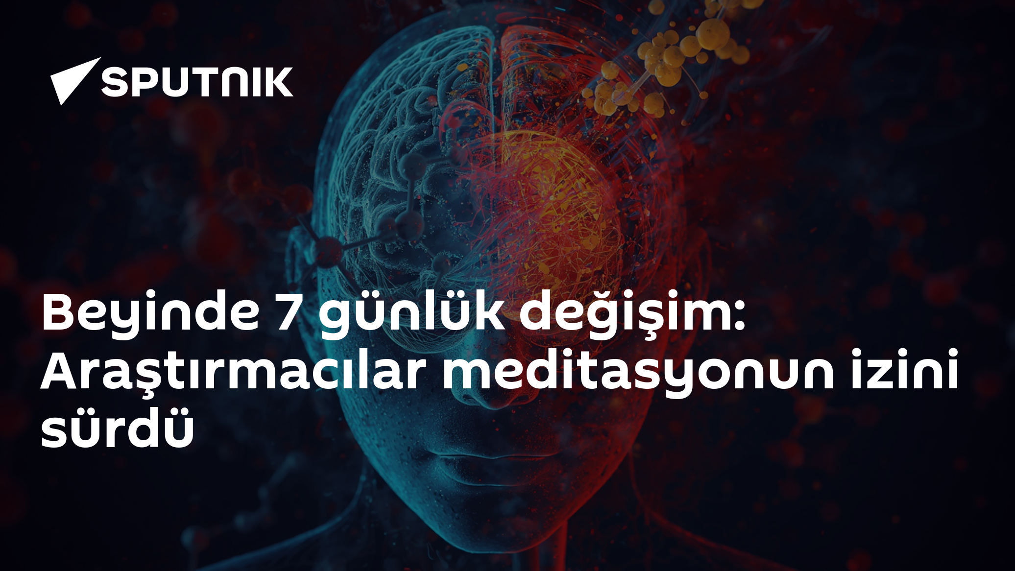 Beyinde 7 günlük değişim: Araştırmacılar meditasyonun izini sürdü