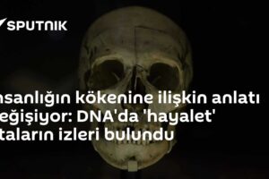 İnsanlığın kökenine ilişkin anlatı değişiyor: DNA'da 'hayalet' ataların izleri bulundu