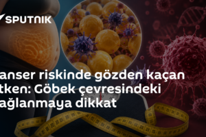 Kanser riskinde gözden kaçan etken: Göbek çevresindeki yağlanmaya dikkat