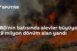 ABD'nin batısında alevler büyüyor: 2.9 milyon dönüm alan yandı