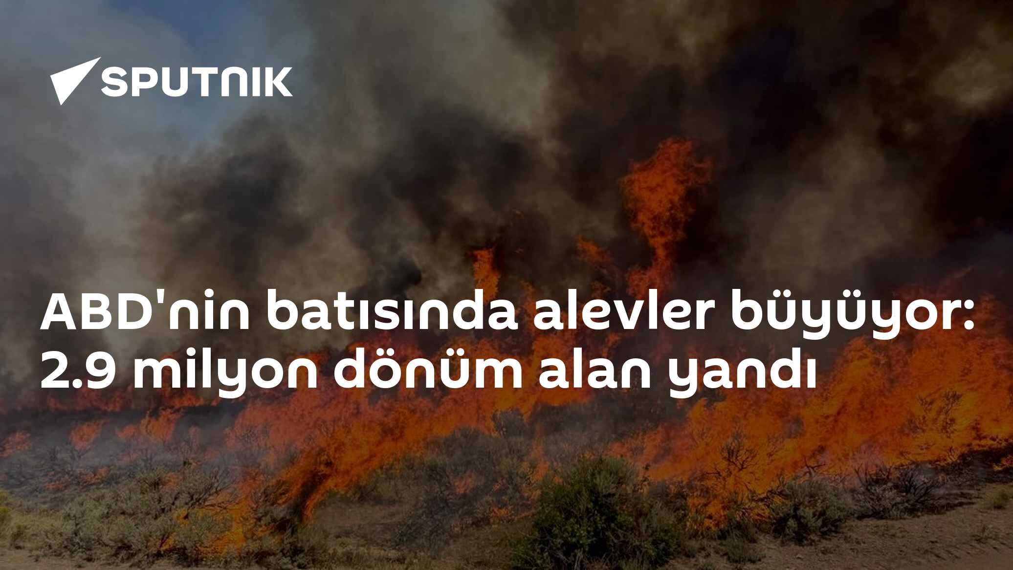 ABD'nin batısında alevler büyüyor: 2.9 milyon dönüm alan yandı