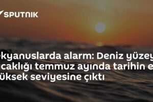 Okyanuslarda alarm: Deniz yüzeyi sıcaklığı temmuz ayında tarihin en yüksek seviyesine çıktı