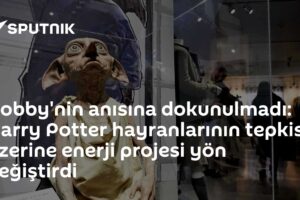 Dobby'nin anısına dokunulmadı: Harry Potter hayranlarının tepkisi üzerine enerji projesi yön değiştirdi