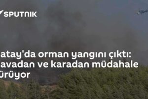 Hatay'da orman yangını çıktı: Havadan ve karadan müdahale sürüyor