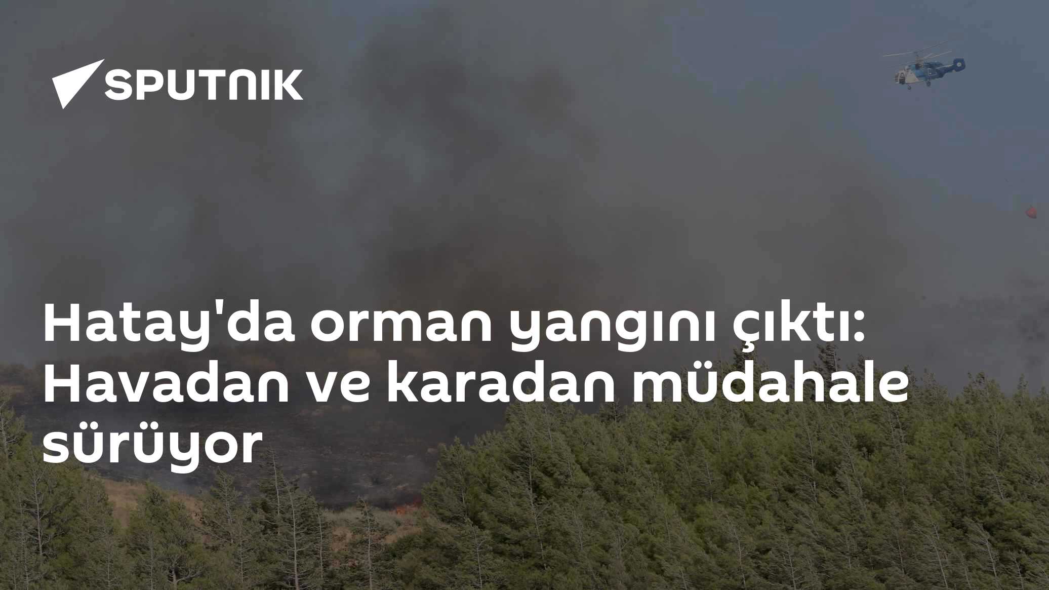 Hatay'da orman yangını çıktı: Havadan ve karadan müdahale sürüyor