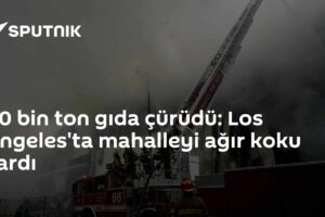 40 bin ton gıda çürüdü: Los Angeles'ta mahalleyi ağır koku sardı