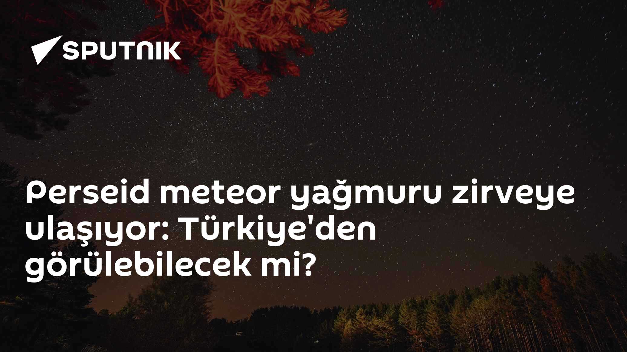 Perseid meteor yağmuru zirveye ulaşıyor: Türkiye'den görülebilecek mi?