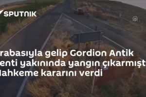 Arabasıyla gelip Gordion Antik Kenti yakınında yangın çıkarmıştı: Mahkeme kararını verdi