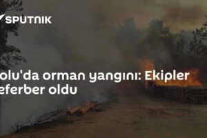 Bolu'da orman yangını: Ekipler seferber oldu