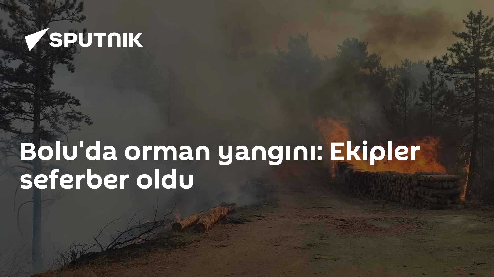 Bolu'da orman yangını: Ekipler seferber oldu