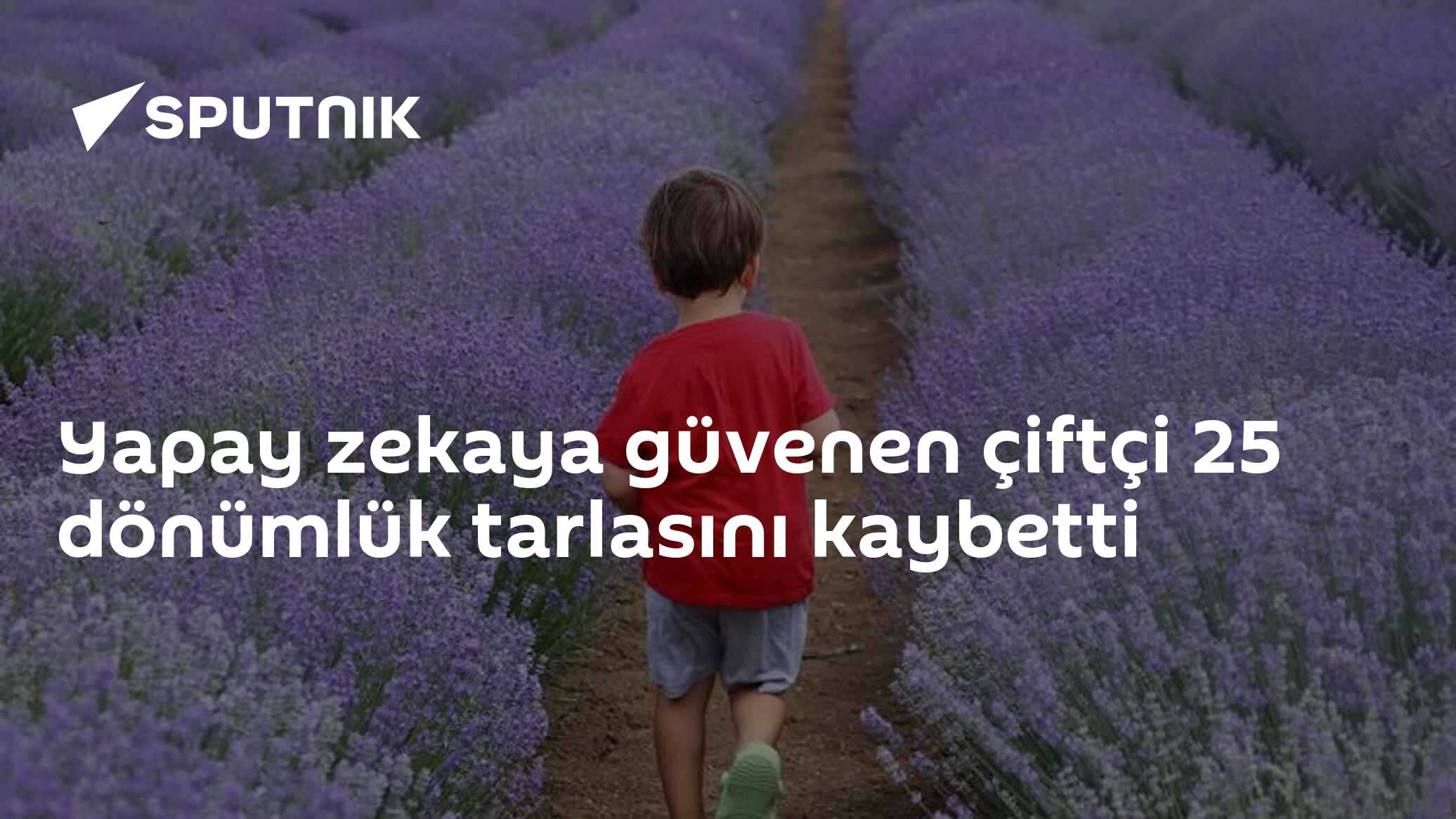 Yapay zekaya güvenen çiftçi 25 dönümlük tarlasını kaybetti