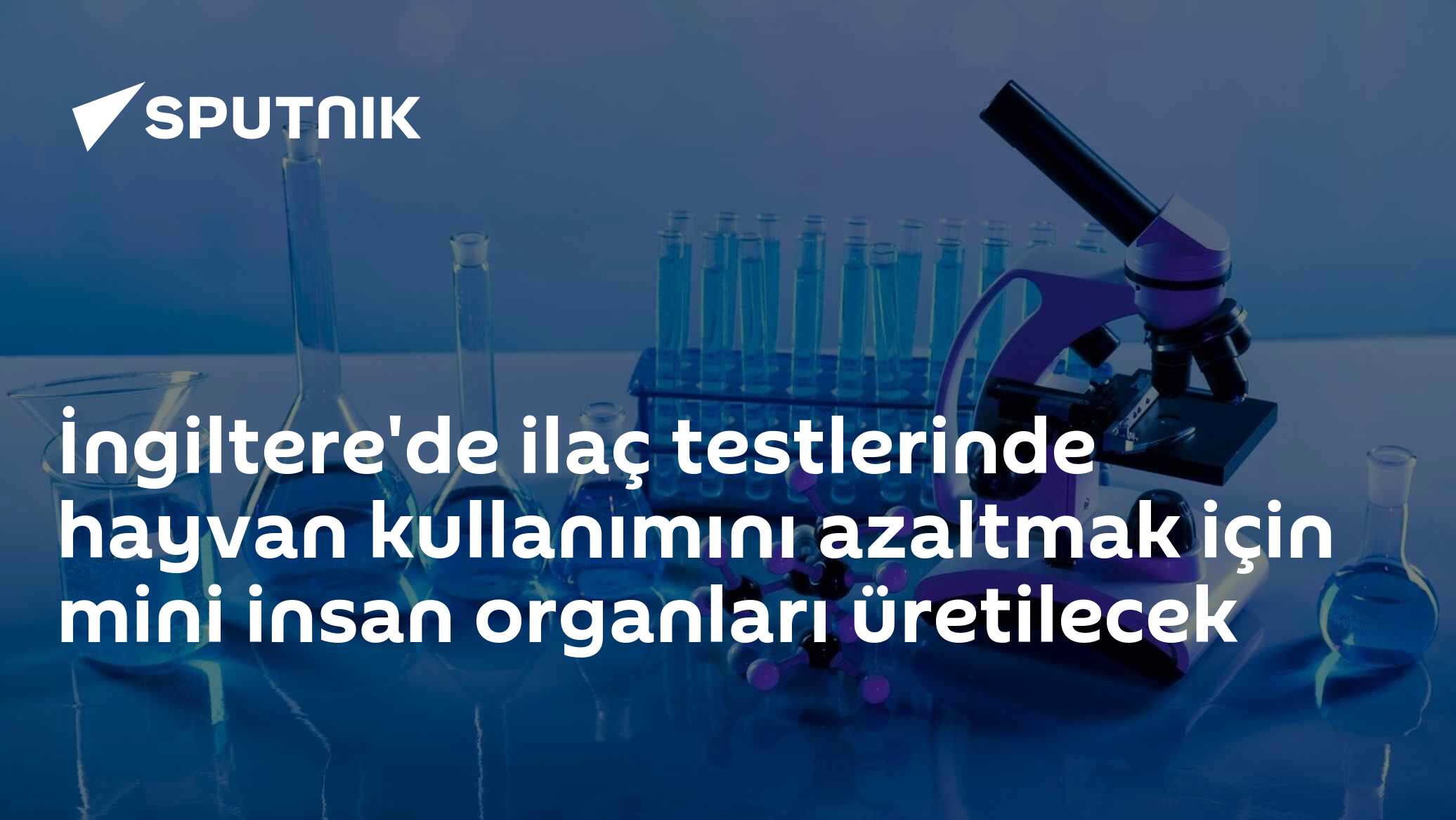 İngiltere'de ilaç testlerinde hayvan kullanımını azaltmak için mini insan organları üretilecek