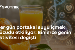 Her gün portakal suyu içmek vücudu etkiliyor: Binlerce genin aktivitesi değişti