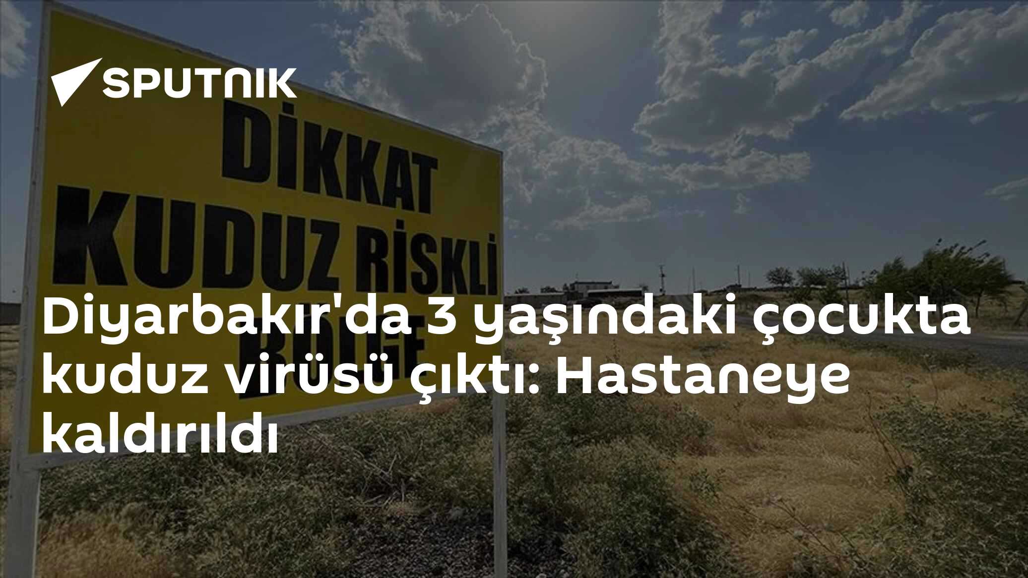 Diyarbakır'da 3 yaşındaki çocukta kuduz virüsü çıktı: Hastaneye kaldırıldı