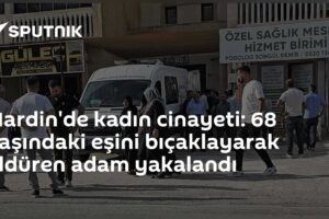 Mardin'de kadın cinayeti: 68 yaşındaki eşini bıçaklayarak öldüren adam yakalandı