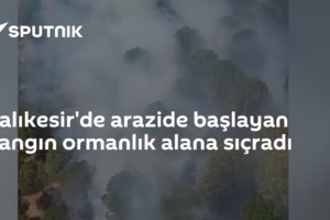 Balıkesir'de arazide başlayan yangın ormanlık alana sıçradı
