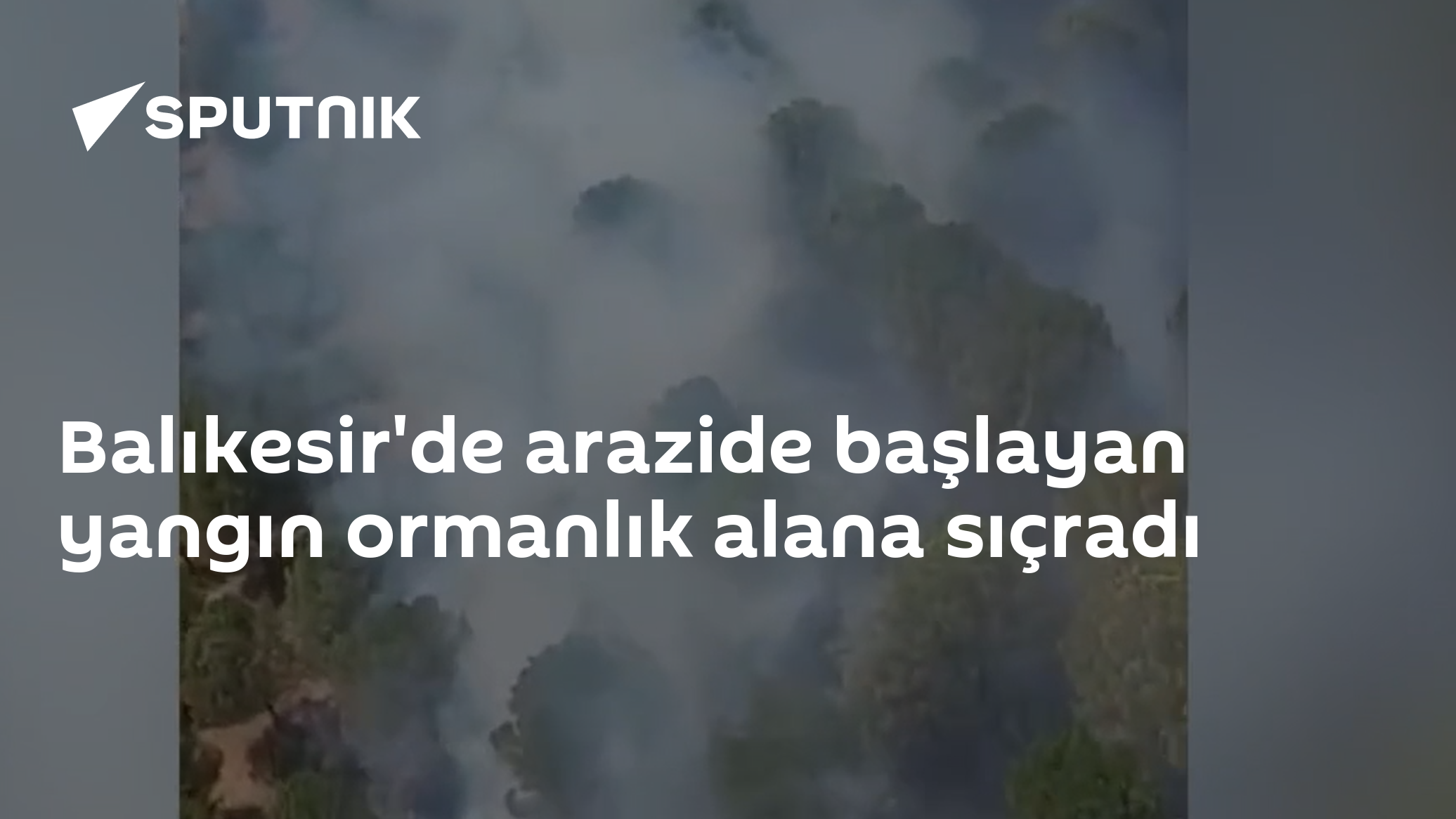 Balıkesir'de arazide başlayan yangın ormanlık alana sıçradı