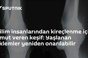 Bilim insanlarından kireçlenme için umut veren keşif: Yaşlanan eklemler yeniden onarılabilir