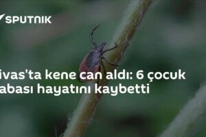 Sivas'ta kene can aldı: 6 çocuk babası hayatını kaybetti