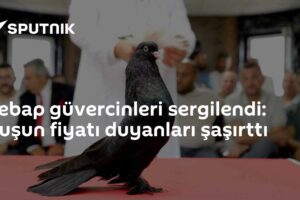 Şebap güvercinleri sergilendi: Kuşun fiyatı duyanları şaşırttı