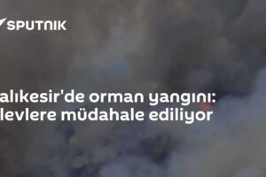 Balıkesir'de orman yangını: Alevlere müdahale ediliyor