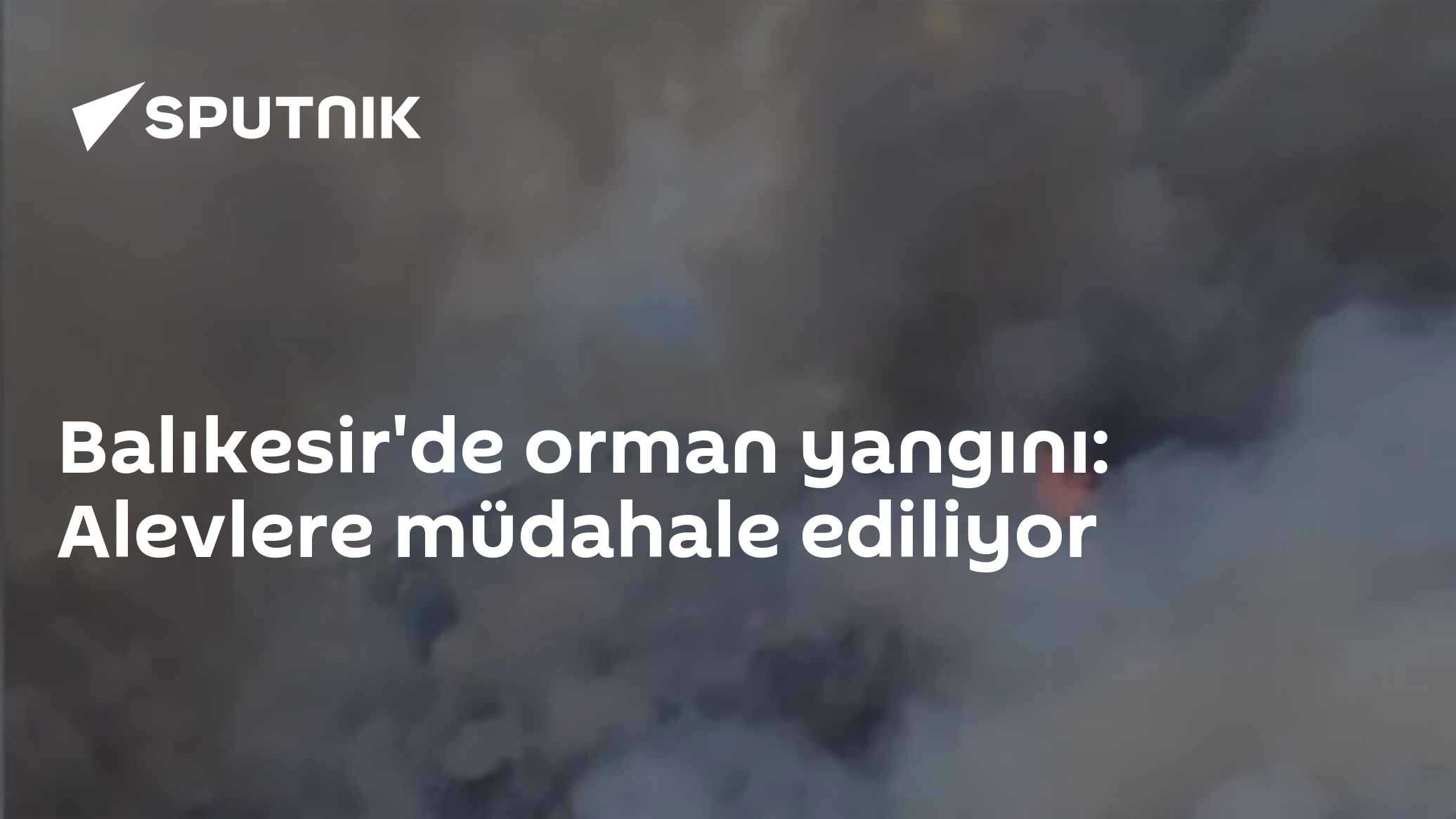Balıkesir'de orman yangını: Alevlere müdahale ediliyor