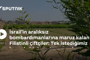 İsrail'in aralıksız bombardımanlarına maruz kalan Filistinli çiftçiler: Tek istediğimiz huzurlu bir hayat yaşamak