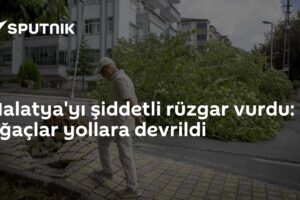 Malatya'yı şiddetli rüzgar vurdu: Ağaçlar yollara devrildi