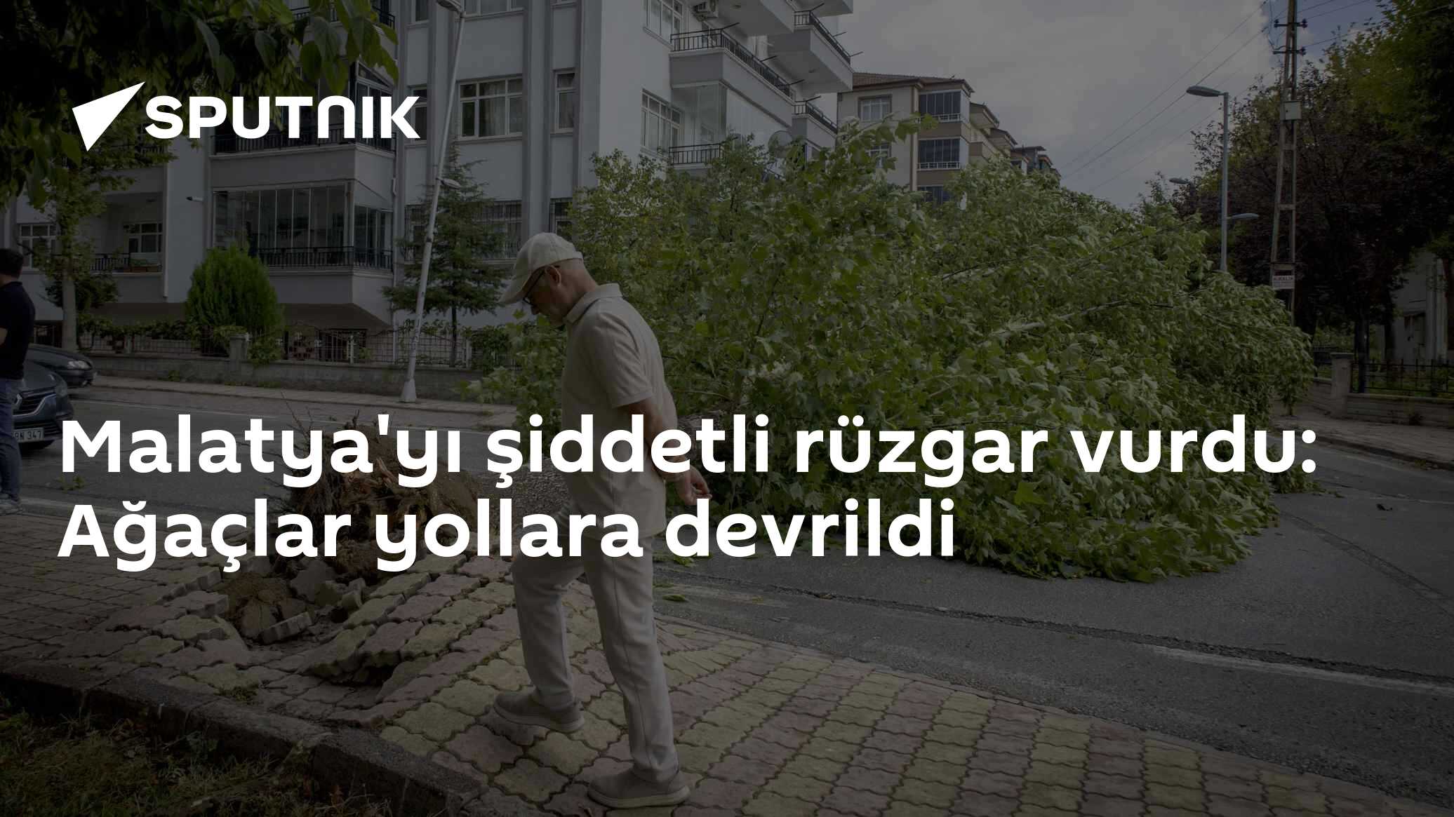 Malatya'yı şiddetli rüzgar vurdu: Ağaçlar yollara devrildi