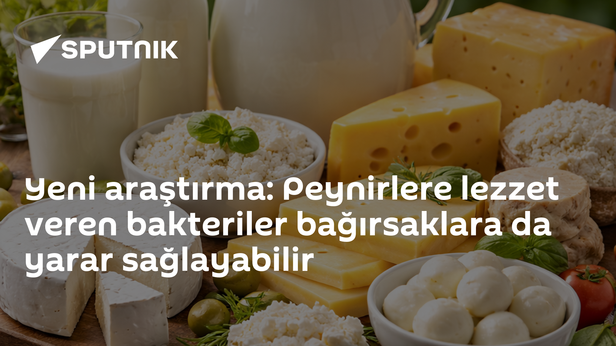 Yeni araştırma: Peynirlere lezzet veren bakteriler bağırsaklara da yarar sağlayabilir