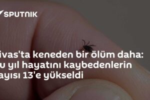 Sivas'ta keneden bir ölüm daha: Bu yıl hayatını kaybedenlerin sayısı 13'e yükseldi