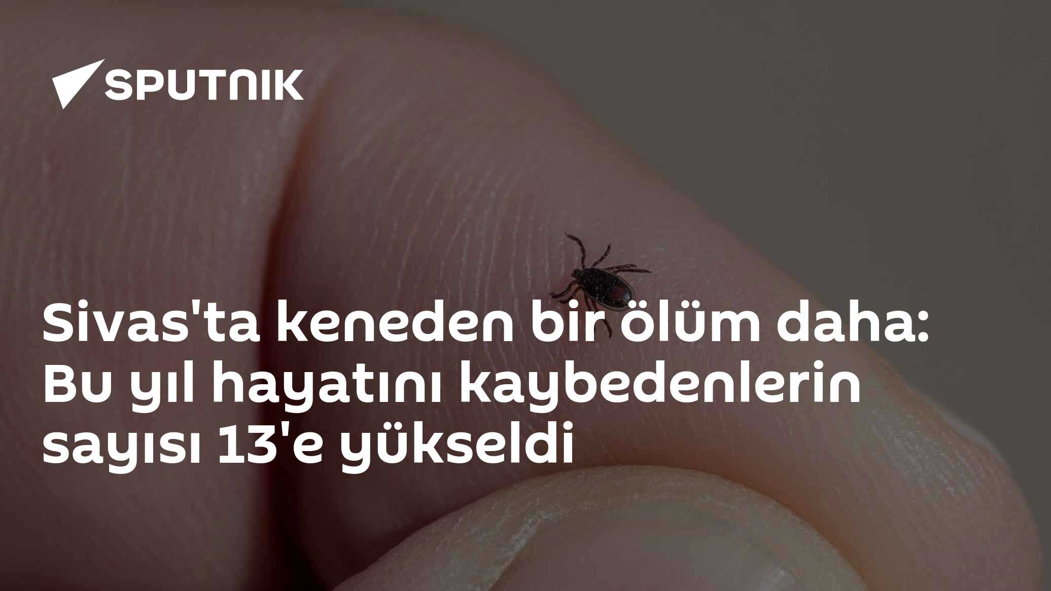 Sivas'ta keneden bir ölüm daha: Bu yıl hayatını kaybedenlerin sayısı 13'e yükseldi
