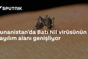 Yunanistan’da Batı Nil virüsünün yayılım alanı genişliyor