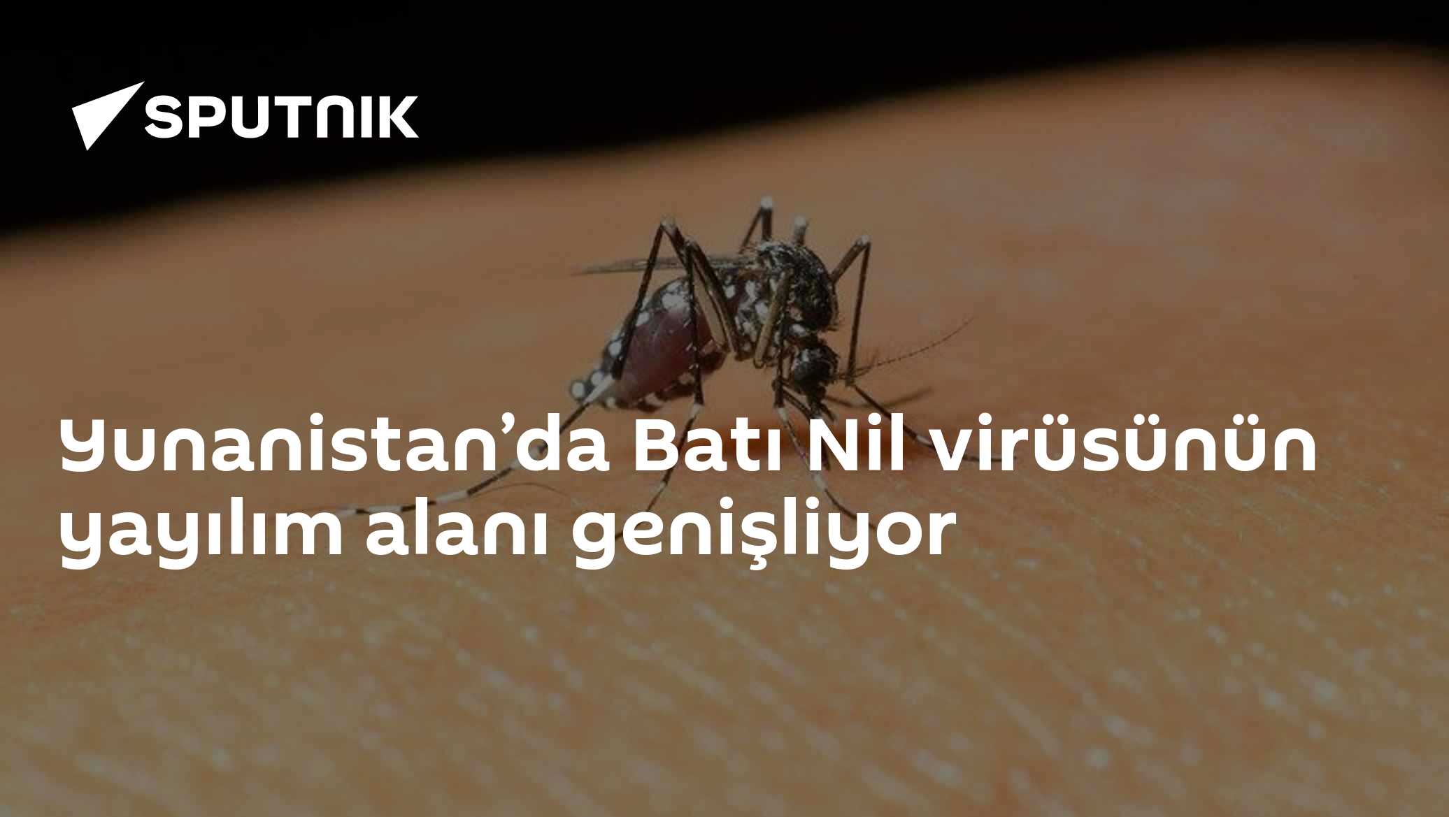 Yunanistan’da Batı Nil virüsünün yayılım alanı genişliyor